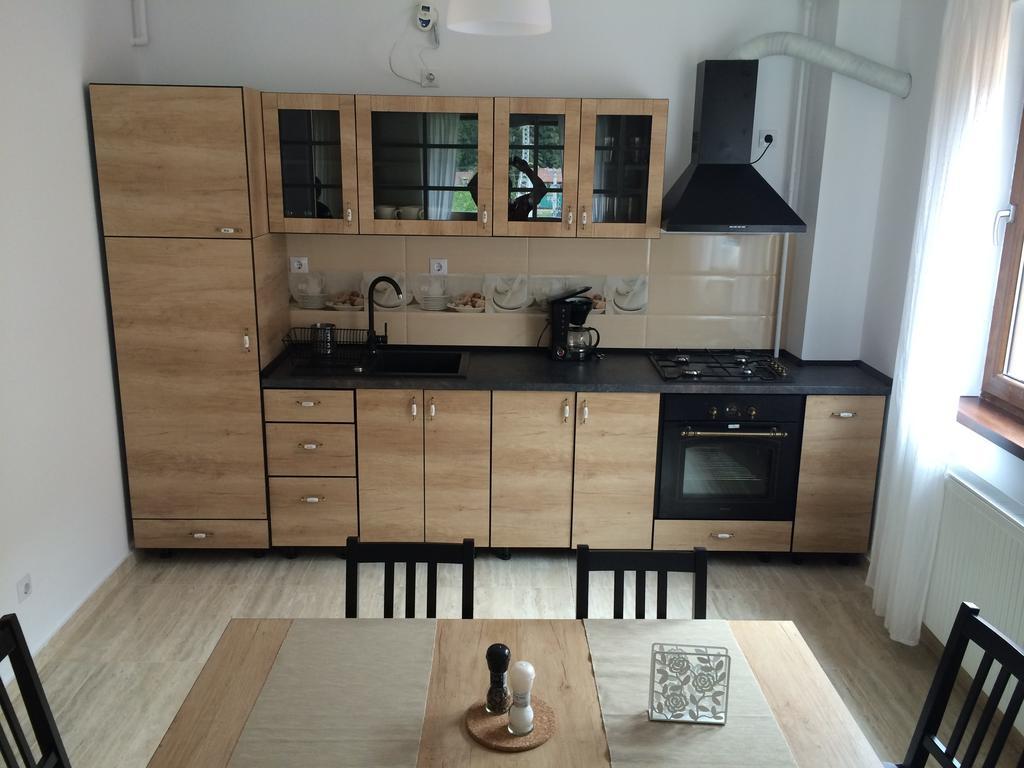 Apartament Holiday Busteni *